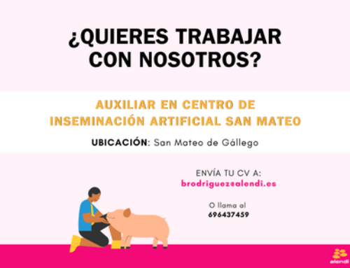 Oferta de empleo en San Mateo de Gállego